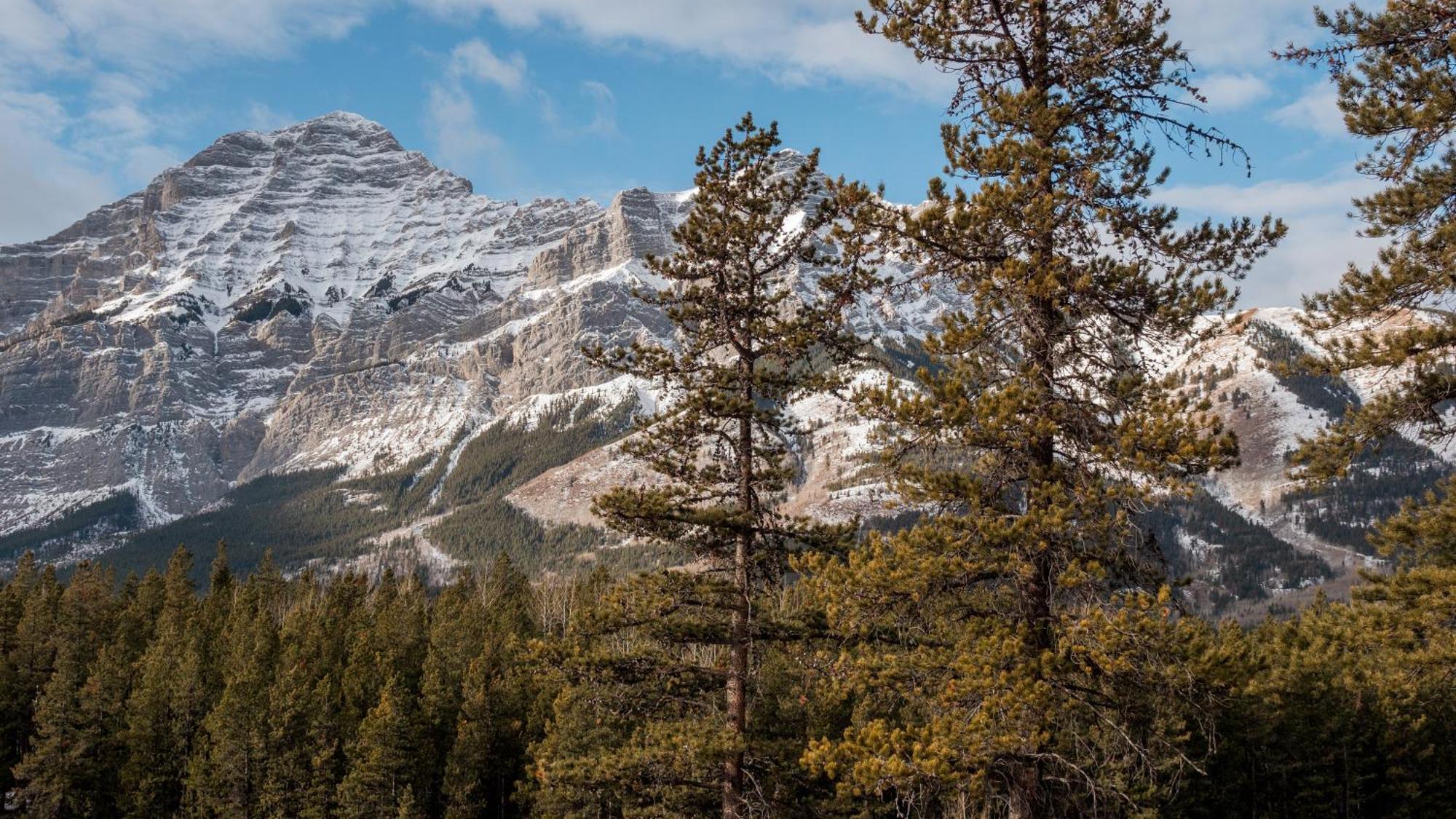 Skyridge Glamping Kananaskis Exterior foto